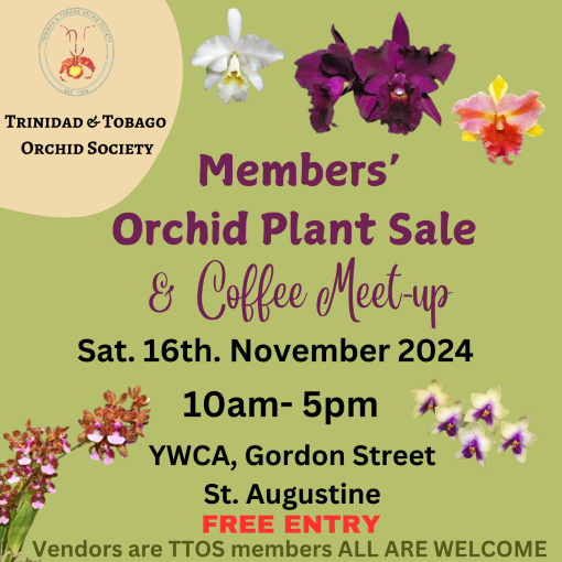 Members' Orchid Sale Nov 2024